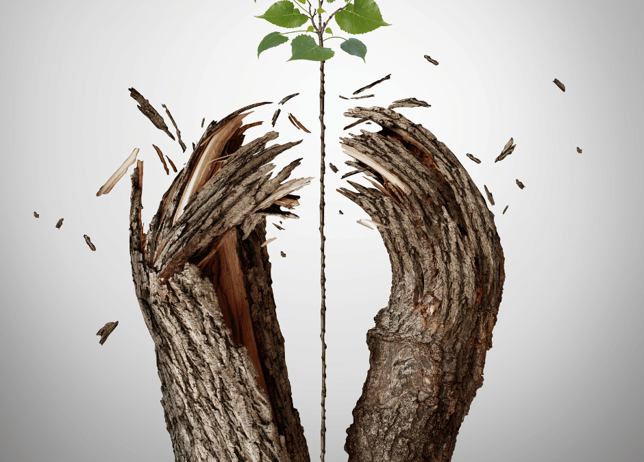 Að komast í gegnum gelgjuskeiðið