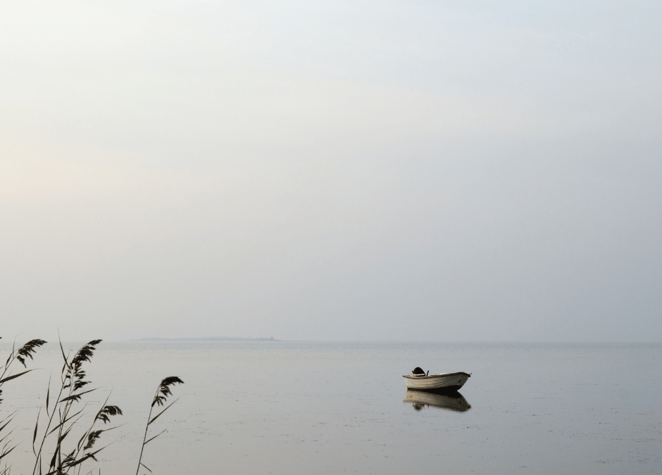 Börn sem eru of þung