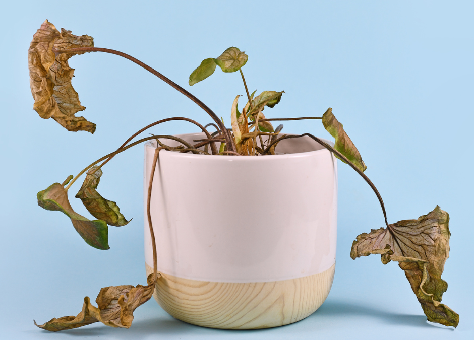 Hvað er ofbeldi og vanræksla á barni